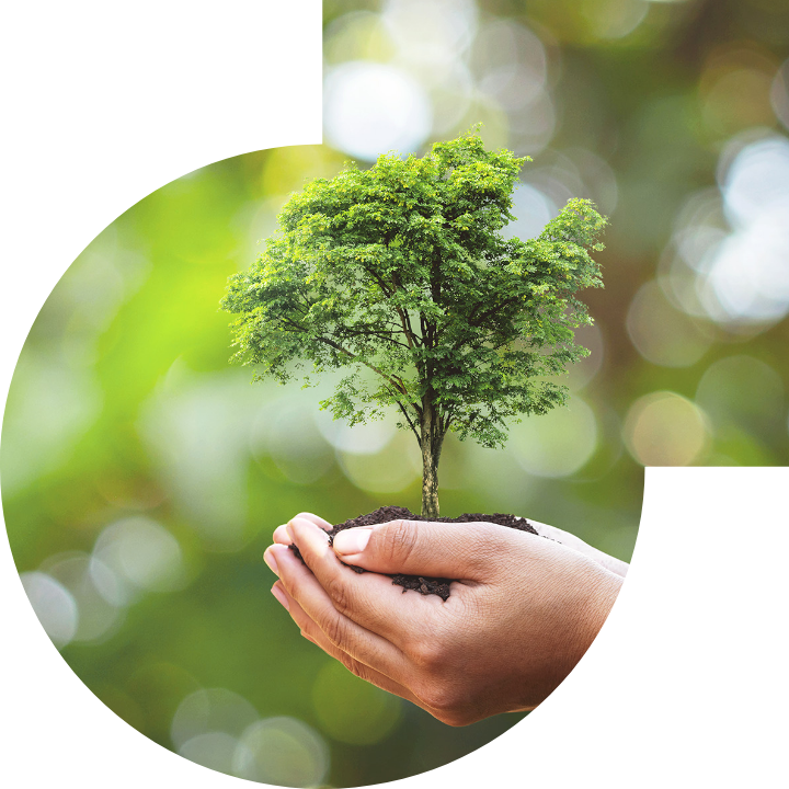 關懷人類、文化、環境與社會